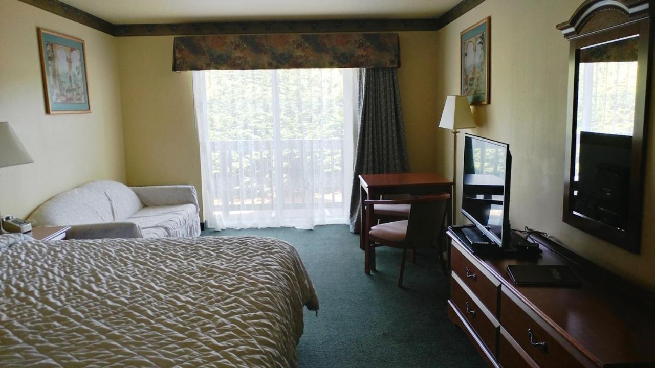 Palace & Hotel 3*
